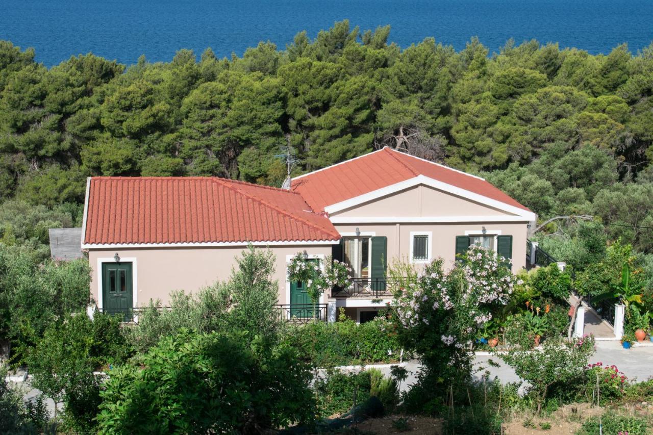 Seapine Studios Lassi  Esterno foto